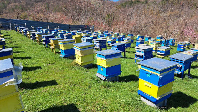 Биопчеларите получиха подкрепа от над 7,3 млн. лева за Кампания 2023