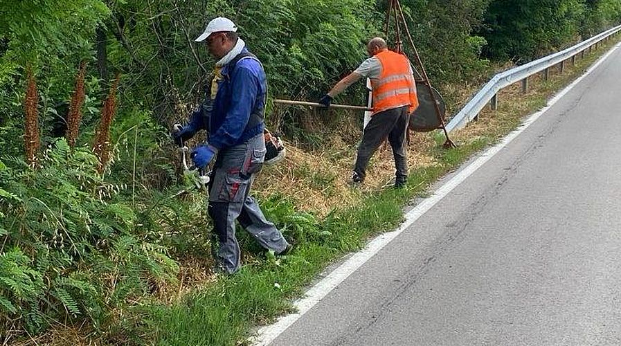 Чистят растителността по републиканската пътна мрежа в Русенско